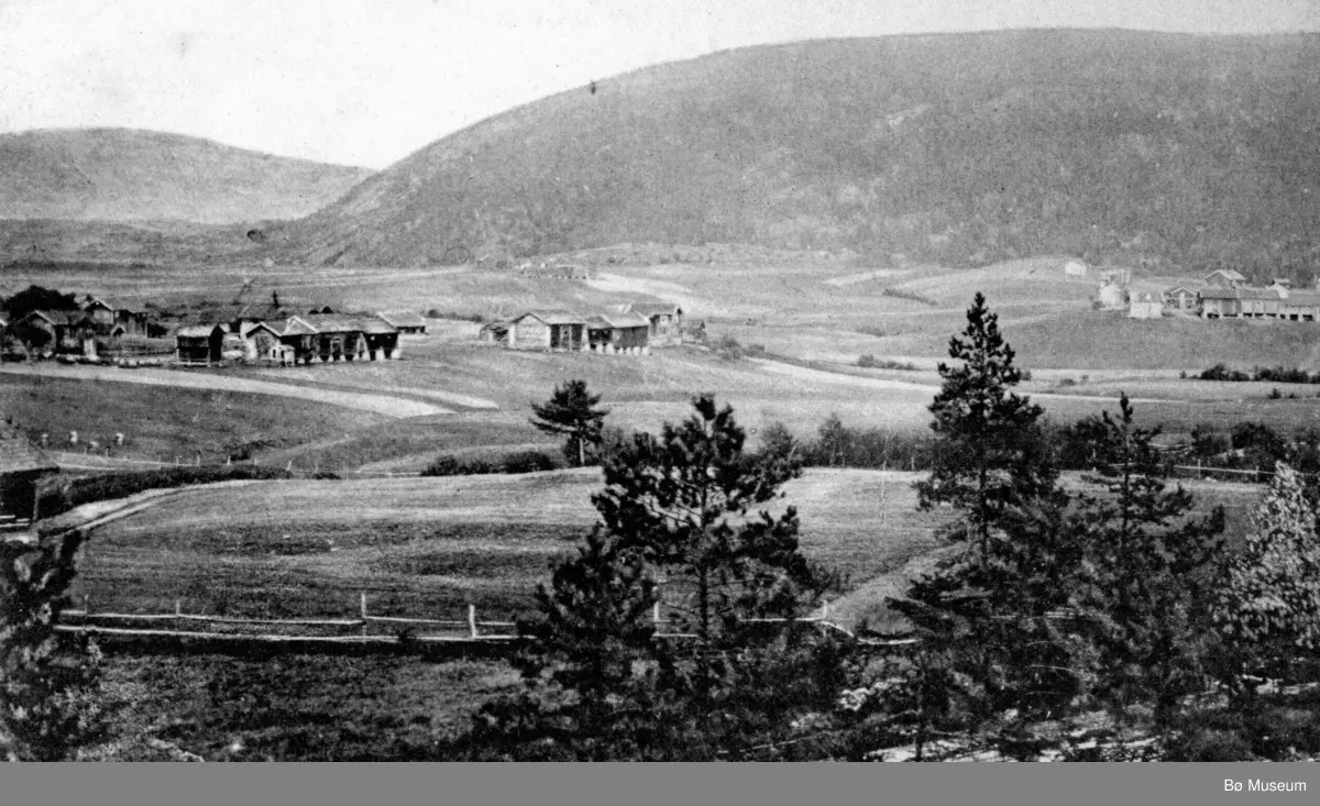 Tveitan- og Skoegardane i Øvre Bø - prospektkort
