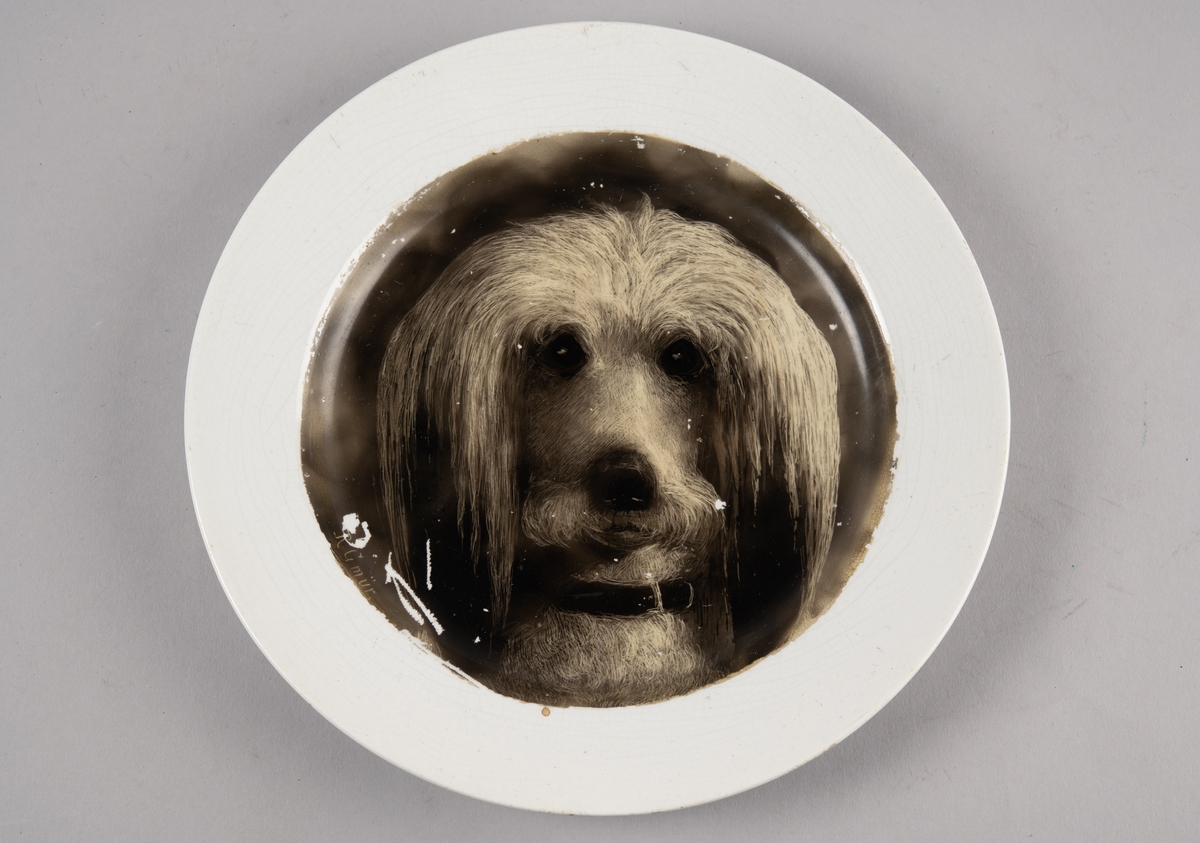 Hundehode