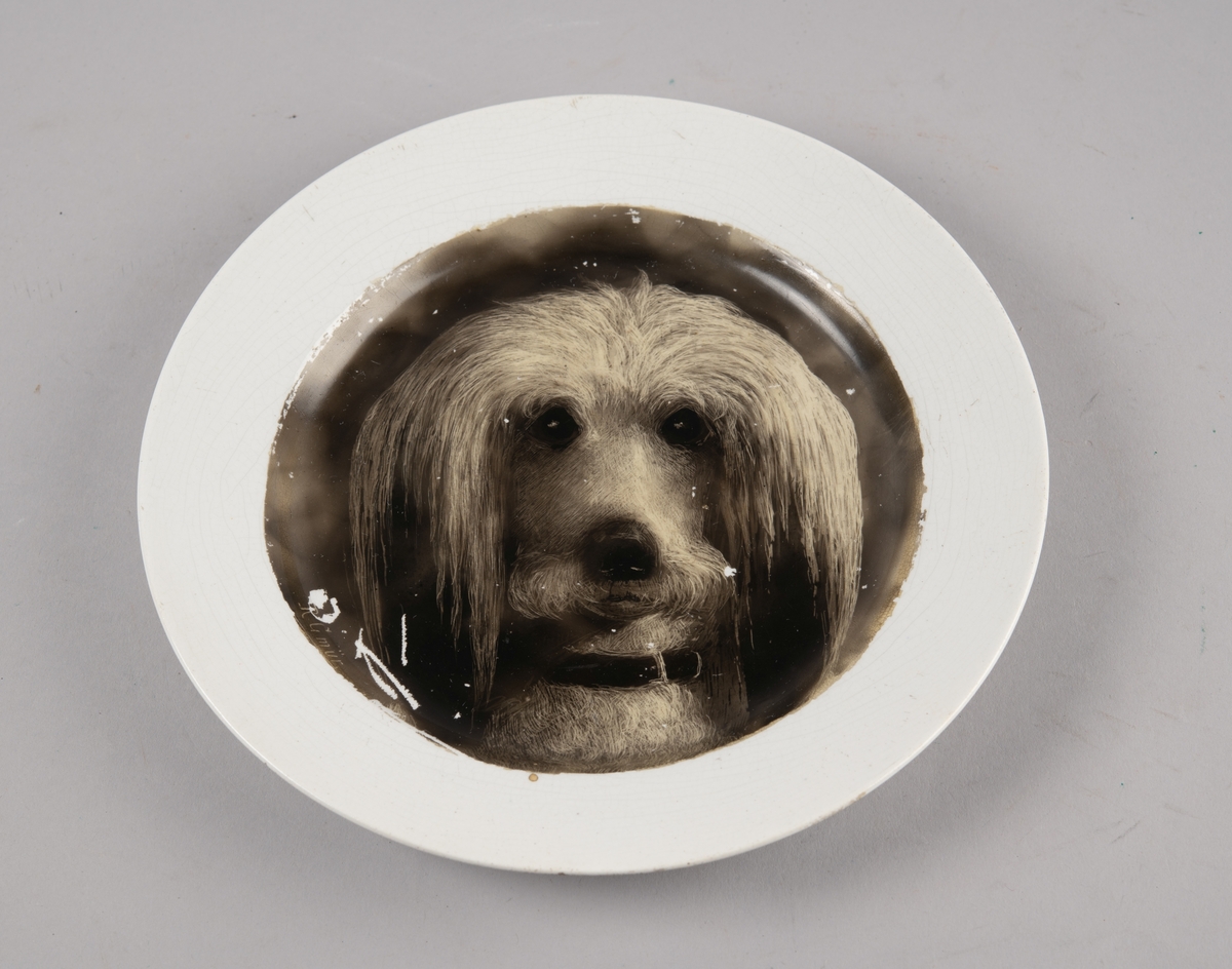 Hundehode