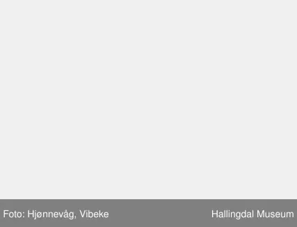 Hank skåret i ett med stempel, halvmåneformet, komakt. Bladform og flikete kanter.
24/6-64. O. Foldøy.
