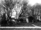 Gudhems klosterruin.