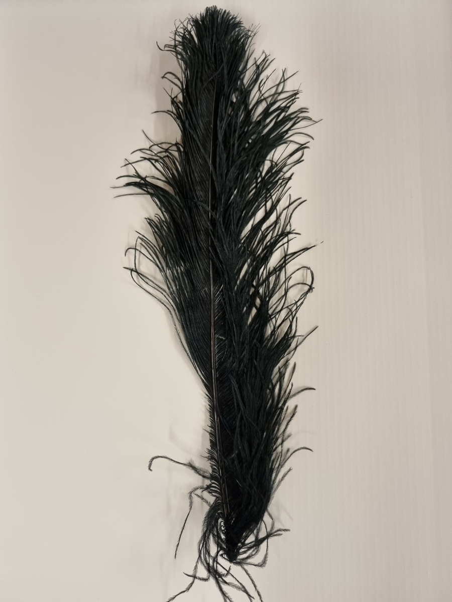 Strutsefjær, såkalt paradefjær.
