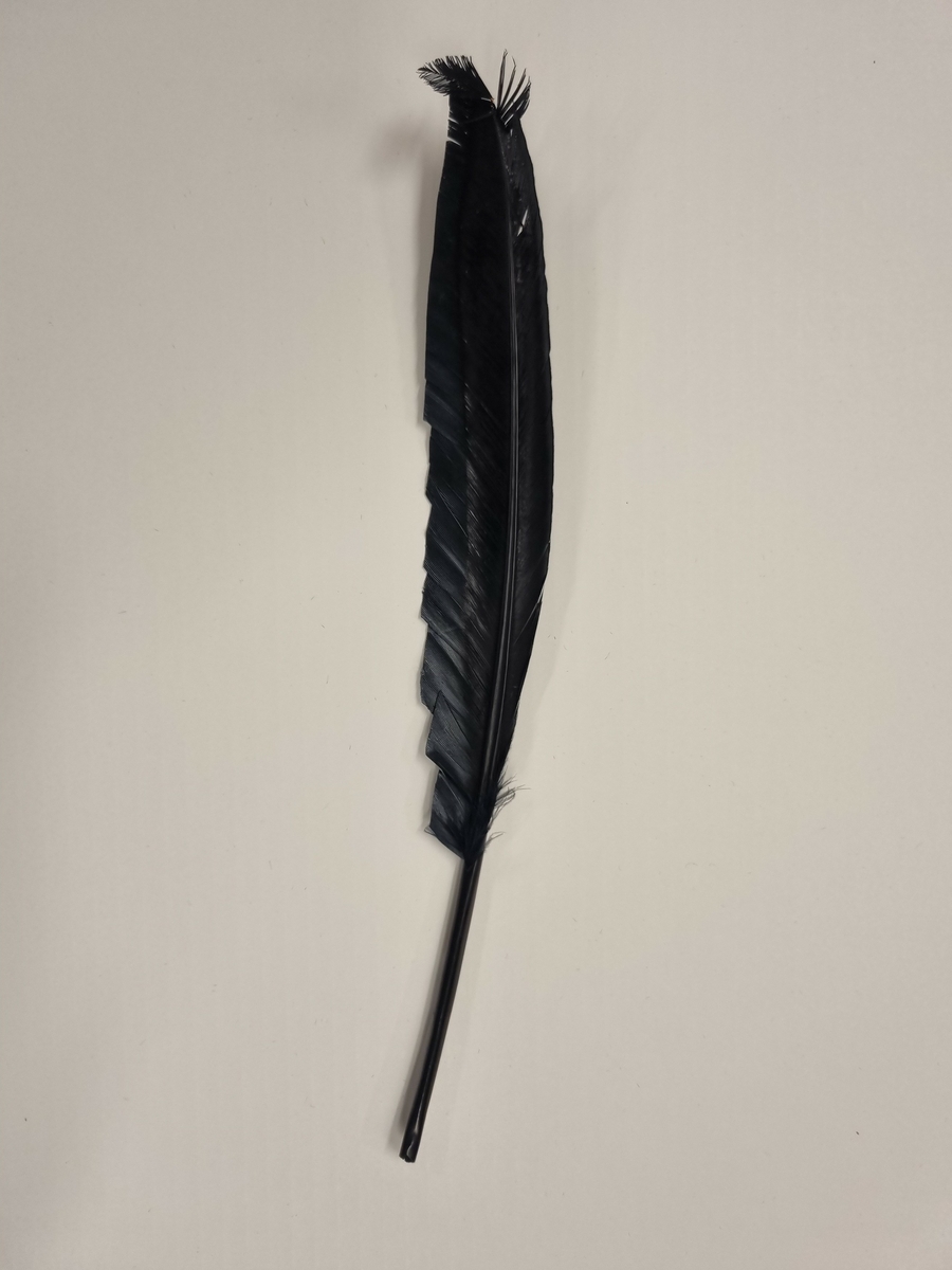 Sort fjær, antatt brukt til dekor på hodeplagg.