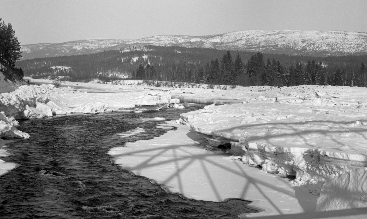 Fra sammenløpet mellom Mistra og Åkrestrømmen i Rendalen etter isgang i februar 1960. Her ser vi hvordan elvene, antakelig i hovedsak Mistra, hadde lagt igjen et tjukt lag med is, men vannet i elveløpet hadde brutt seg råk gjennom ismassene, så området ovenfor det stedet der de to elvene møtes var ikke oversvømt av is og vann da dette bildet ble tatt.  Fotografen har stått på Åkrestrømmen bru, som forbinder Engerdalsvegen, som kommer østfra, med Gamle kongeveg, som går nord-sør.

Onsdag 20. januar 1960, to dager før dette fotografiet ble tatt, kunne avisa Østlendingen melde følgende om vinterisgangen i Rendalen:

«Vinteren tredje isgang i Mistra stengte riksvei 80 i Ytre Rendal
Vannet helt opp til stuedøra på to steder

Ved 7-tiden kom Mistra med store ismasser. Dette er tredje gang i vinter, men denne gang be ikke riksvei 80 spart. Vann og store isblokker sperret veien ca. 100 meter ved broen over stømmen litt nord for Åsheim. Ved broen var faret blokert, og vannet tok veien innover Svalstadjordene. Hos Berthe Akre og Anders Svalstad gikk vannet opp til stuedøra.

Da vår medarbeider kom til stede var folk og maskiner i aktivitet for å få ismassene fjernet fra riksveien. Men under isen sto vannet ca. 25 centimeter over veien. Vi spurte veisjef Flenmoen om det arbeid som ble utført ved Mistras utløp i fjor sommer har noen forbindelse med disse isgangene, og han mente at det i hvert fall ikke har forbedret situasjonen med hensyn til isgangene.

Mener De, som eldre folk i bygda, at vanskelighetene med Mistra skyldes Storsjø-reguleringen?

Reguleringen kan jo ikke ha forårsaket disse isgangene, men den kan jo være en medvirkende årsak til at avløpet stadig blir blokert.

Vi spurte blant karene som var kommet til stede om det samme, og at alle var av denne oppfatning fant vi fort ut.

Vi fikk opplyst at massen som må fjernes fra veien dreier seg om 5-600 kubikkmeter. Isgangen gikk ved den gamle brua ca. 2,5 kilometer vestover.
Ved 15-tiden fikk man bukt med vannet, slik at veien kunne åpnes igjen, og den skulle bli godt farbar når den fryser til igjen.»