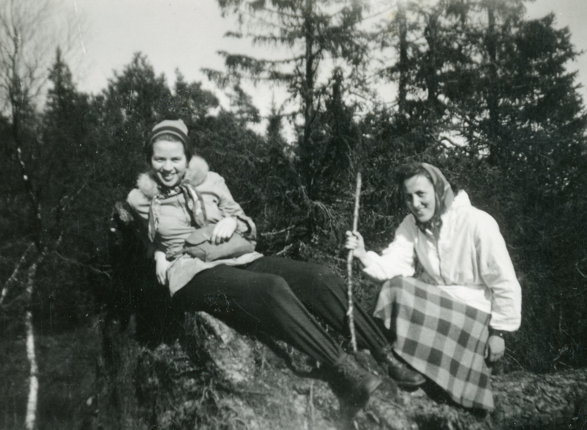 Fleire bilde frå ein fjelltur.  Tordis Terjesen er ei av dei som er med på dei fleste bilda.