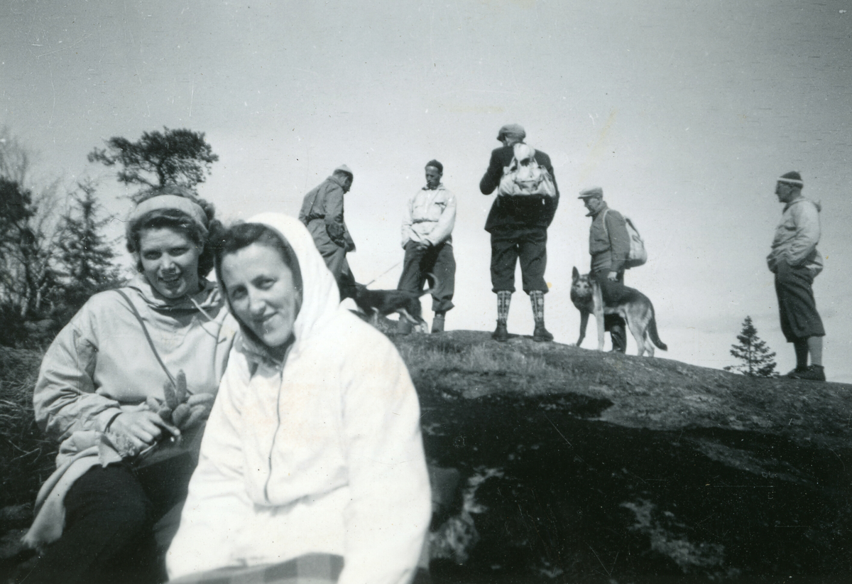 Fleire bilde frå ein fjelltur.  Tordis Terjesen er ei av dei som er med på dei fleste bilda.