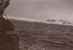 Fotografi från första svenska Antarktisexpeditionen 1901-1904. Vy över hav och snötäckta berg.