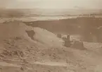 Fotografi från första svenska Antarktisexpeditionen 1901-1904. Vy över snöig strand och hav.