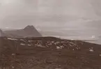 Fotografi från första svenska Antarktisexpeditionen 1901-1904. Vy över istäckt bergslandskap.