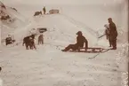 Fotografi från första svenska Antarktisexpeditionen 1901-1904. Motiv av expeditionsdeltagare och hundspann i ett snötäckt bergslandskap.