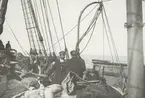 Fotografi från första svenska Antarktisexpeditionen 1901-1904. Motiv av expeditionsdeltagare ombord på fartyget Uruguay.