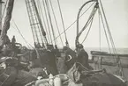 Fotografi från första svenska Antarktisexpeditionen 1901-1904. Motiv av expeditionsdeltagare ombord på fartyget Uruguay.