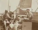 Fotografi från första svenska Antarktisexpeditionen 1901-1904. Motiv av besättningsmän ombord på Antarctic tillsammans med två hundar.