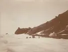Fotografi från första svenska Antarktisexpeditionen 1901-1904. Motiv av tält och hundspann i snön nedanför berg.