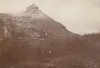 Fotografi från första svenska Antarktisexpeditionen 1901-1904. Vy över buskigt landskap och snötäckt berg.