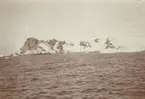 Fotografi från första svenska Antarktisexpeditionen 1901-1904. Vy över hav och snötäckt berg.