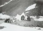 Fotografi från första svenska Antarktisexpeditionen 1901-1904. Motiv av tältläger med expeditionsmedlemmar och hundar nedanför ett berg.