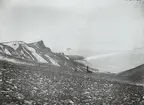 Fotografi från första svenska Antarktisexpeditionen 1901-1904. Motiv av man på promenad med hundar i ett snöigt bergslandskap.