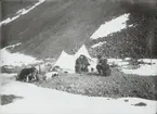 Fotografi från första svenska Antarktisexpeditionen 1901-1904. Motiv av tältläger med expeditionsmedlemmar och hundar nedanför berg.