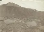 Fotografi från första svenska Antarktisexpeditionen 1901-1904. Motiv av pingvinkoloni nedanför berg.