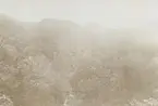 Fotografi från expedition till Peru 1920. Vy över tät skog och berg.