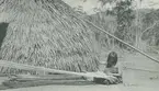 Fotografi från expedition till Peru 1920. Motiv av kvinna som utför något slags hantverk sittande på marken utanför en hydda i djungeln.