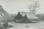 Fotografi från expedition till Peru 1920. Motiv av två hyddor med halmtak.