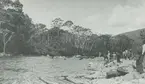 Fotografi från expedition till Peru 1920. Motiv av expeditionsdeltagare på stenig strand vid flod i djungeln.