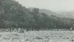 Fotografi från expedition till Peru 1920. Vy över stenig strand och djungel. På stranden syns flera expeditionsdeltagare.