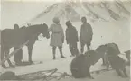 Fotografi från expedition till Spetsbergen. Motiv av fyra män, en häst och ett hundspann i ett snölandskap.