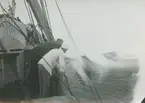 Fotografi från expedition till Östgrönland 1929. Dansk-svensk expedition under ledning av Lauge Koch. Svenska deltagare: Oscar Kulling och Helge Backlund. Motiv av två expeditionsdeltagare ombord på fartyg.