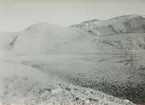 Fotografi från expedition till Östgrönland 1929. Dansk-svensk expedition under ledning av Lauge Koch. Svenska deltagare: Oscar Kulling och Helge Backlund. Vy över kargt bergslandskap.