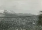 Fotografi från expedition till Östgrönland 1929. Dansk-svensk expedition under ledning av Lauge Koch. Svenska deltagare: Oscar Kulling och Helge Backlund. Vy över ett isigt bergslandskap.