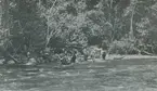 Fotografi från expedition till Peru 1920. Motiv av expeditionsdeltagare vid flod i djungeln.
