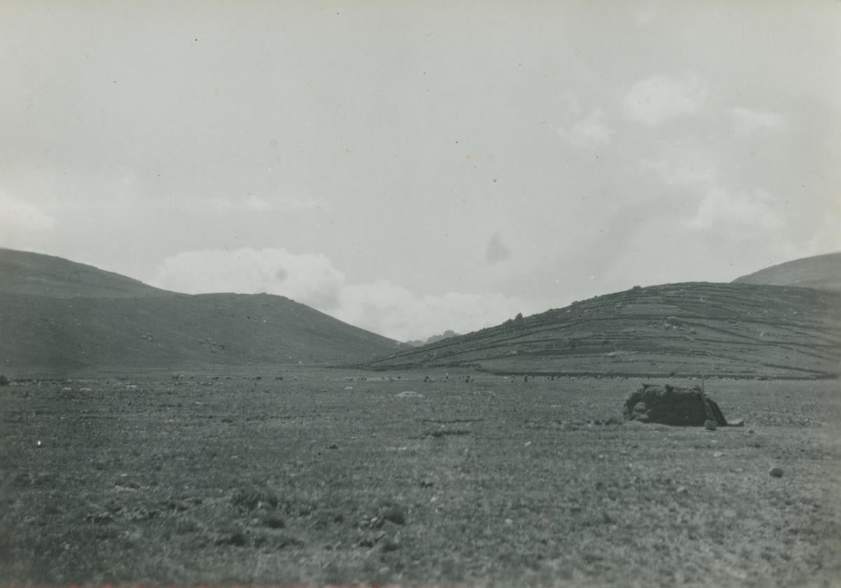 Fotografi från expedition till Peru 1920. Vy över ett kargt bergslandskap.