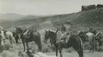 Fotografi från expedition till Peru 1920. Motiv av ett par män och ett antal hästar i ett vidsträckt ökenlandskap.