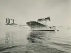 Fotografi från svenska undsättningsexpeditionen 1928. Motiv av flygbåt på vatten.