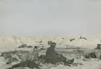 Fotografi från svenska undsättningsexpeditionen 1928. Motiv av man som sitter och vilar vid lägerplats i snön.