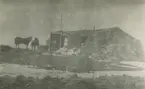 Spetsbergen övriga bilder. Motiv av hästarna Svea och Alligunda utanför stuga, 1919.
