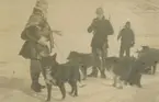 Spetsbergen övriga bilder. Motiv av män och hundspann i snölandskap. 1918-1919.