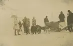 Spetsbergen övriga bilder. Motiv av en grupp män och hundspann på väg att hämta dynamit vid kusten.