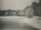 Diverse bilder från Fred Goldbergs samling. Vy över snötäckt skogslandskap.