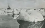 Diverse bilder från Fred Goldbergs samling. Motiv av isberg och fartyget HMS Svensksund.