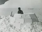 Fotografi från låda märkt Bernt Balchen. Balchen var norsk-amerikansk flygare, polarforskare och militär. Motiv av expeditionsdeltagare som bygger en igloo i ett snölandskap.