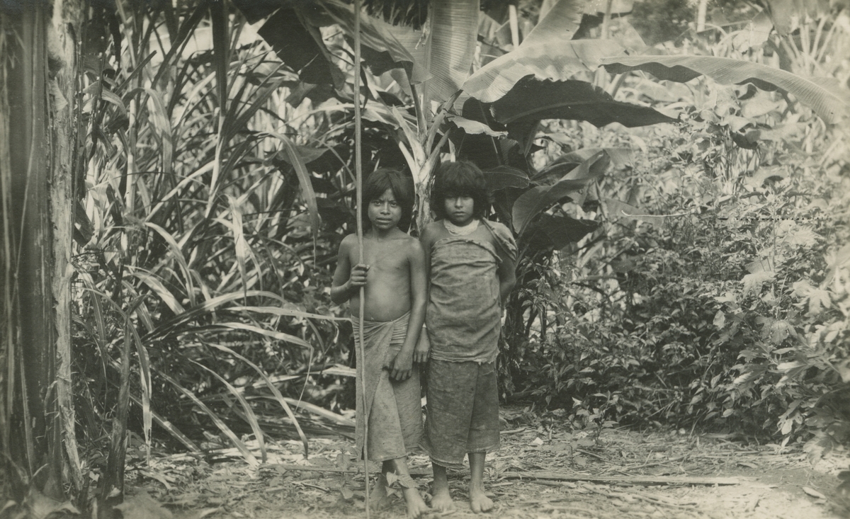 Vykort från Peruexpedition 1920. Motiv av två barn i djungeln.