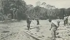 Fotografi från Peruexpedition 1920. Motiv av expeditionsdeltagare och ursprungsfolk vid flod i djungeln.