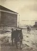Fotografi från expedition till Sveagruvan. Moiv av två hundar utanför ett trähus.