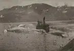 Bild från expedition i Antarktisområdet. Motiv av valfångst.