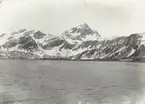 Bild från expedition i Antarktisområdet. Vy över hav och snötäckta berg.