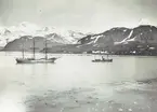 Bild från expedition i Antarktisområdet. Motiv av valfångare i hav vid berg i Sydgeorgien, 1912.